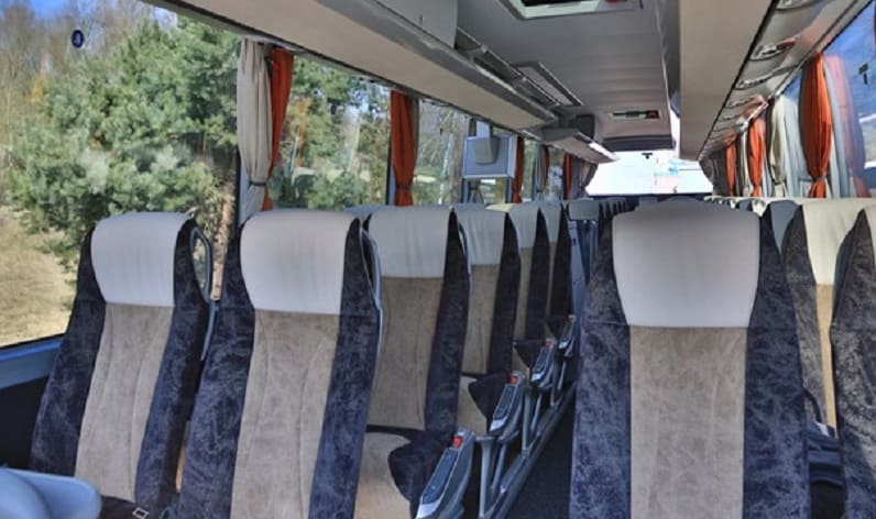 Germany: Coach charter in Saxony-Anhalt in Saxony-Anhalt and Dessau-Ro&szlig;lau